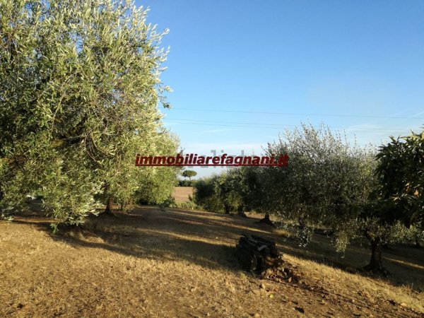 terreno agricolo in vendita a Velletri