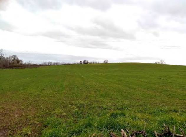 terreno agricolo in vendita a Velletri