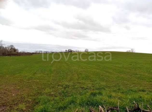 appartamento in vendita a Velletri