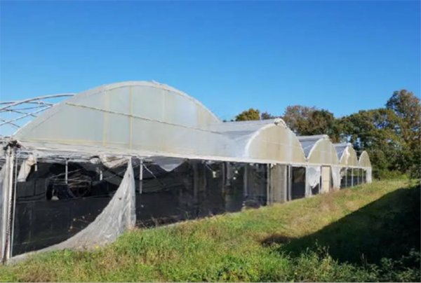 azienda agricola in vendita a Velletri