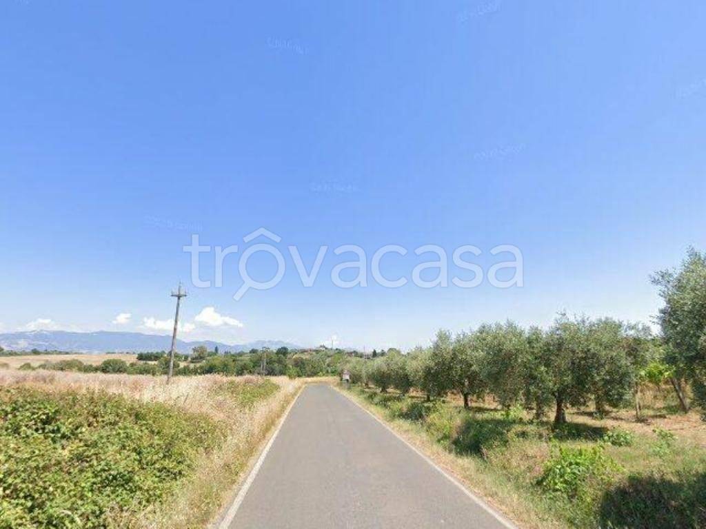 terreno agricolo in vendita a Velletri