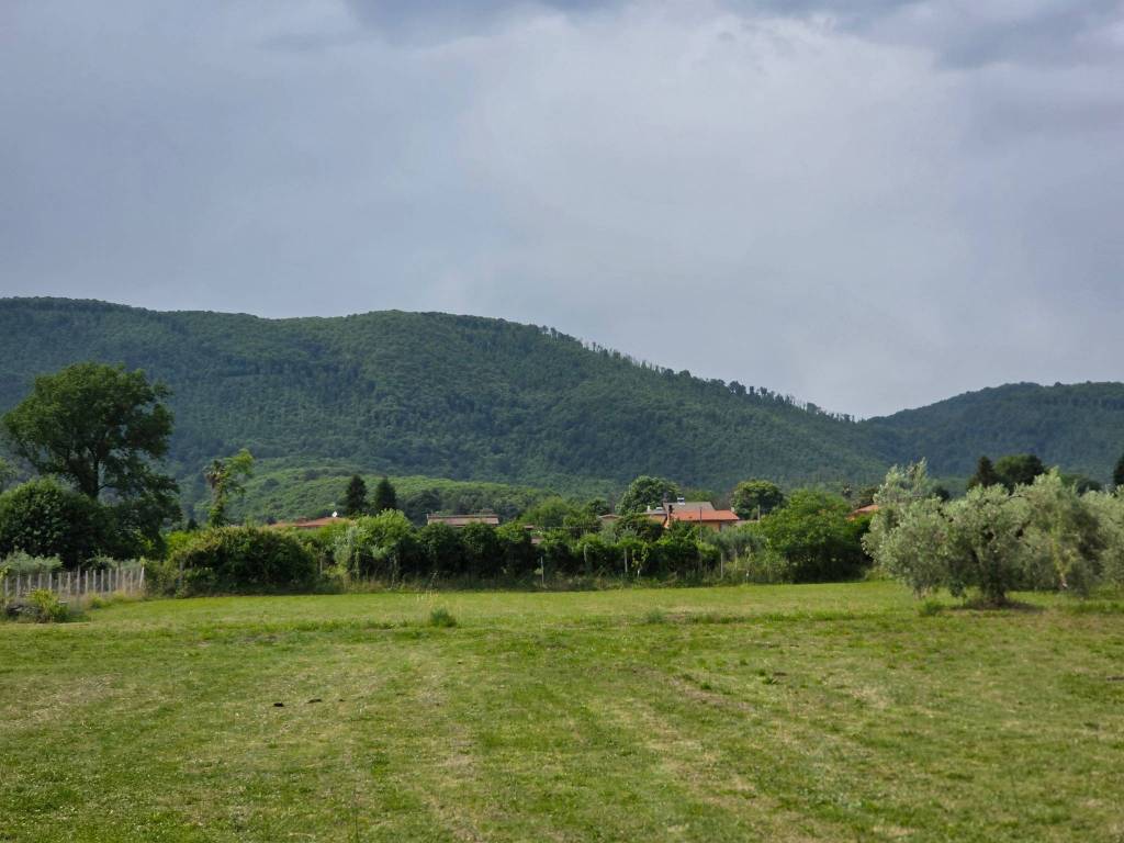terreno agricolo in vendita a Velletri