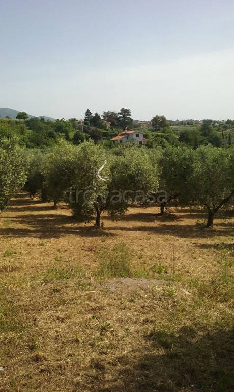 terreno agricolo in vendita a Velletri