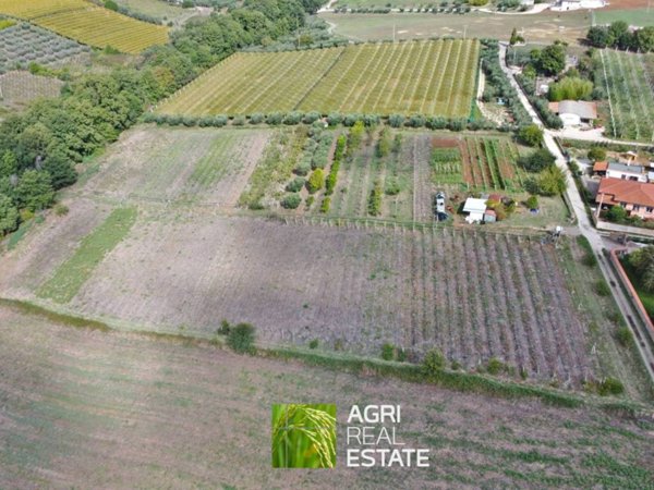 terreno agricolo in vendita a Velletri