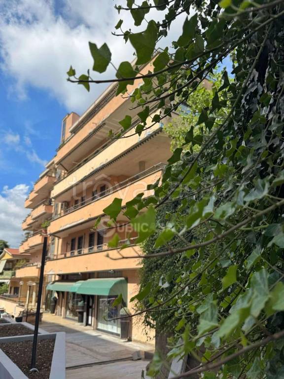 appartamento in vendita a Velletri