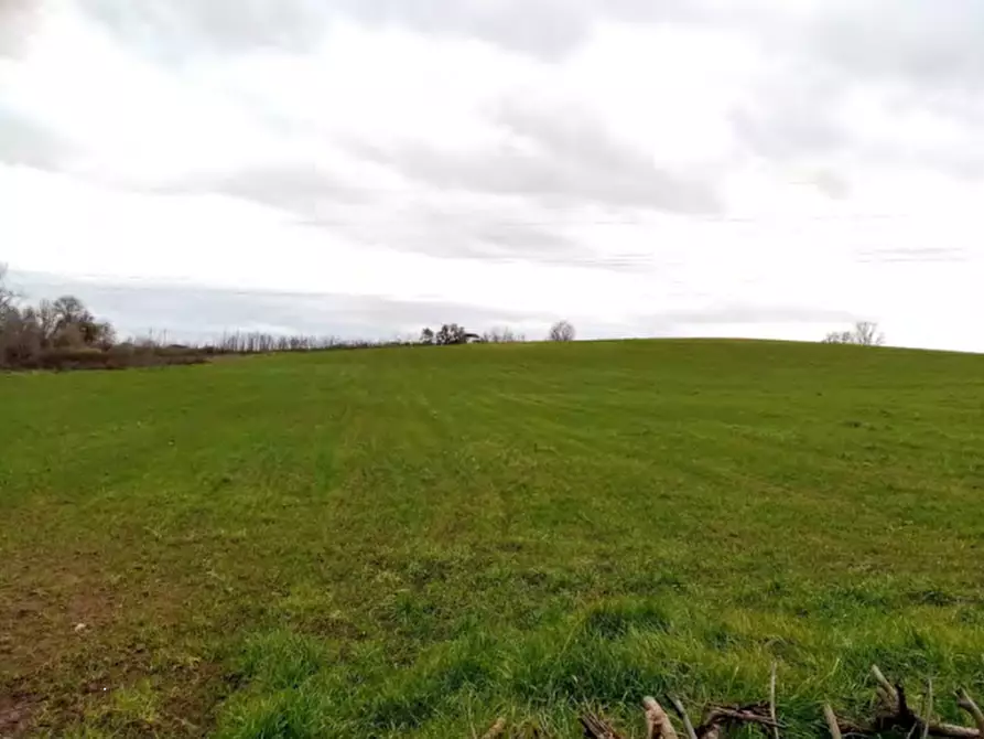 terreno agricolo in vendita a Velletri