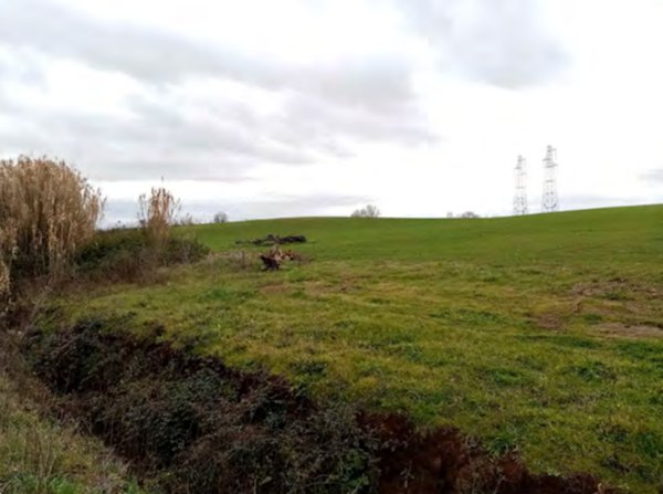 terreno agricolo in vendita a Velletri