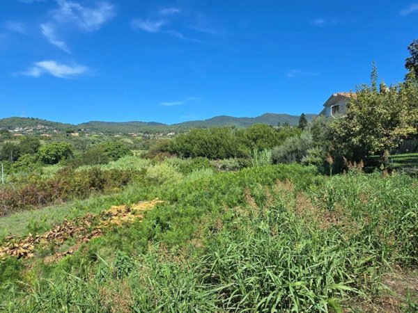 terreno agricolo in vendita a Velletri