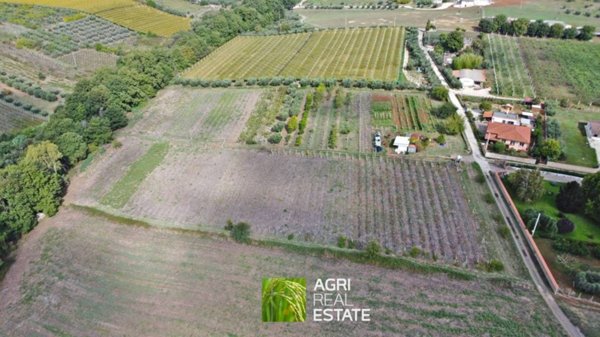 appartamento in vendita a Velletri
