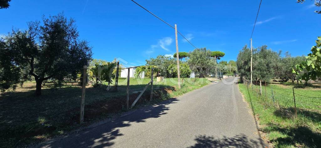 terreno agricolo in vendita a Velletri