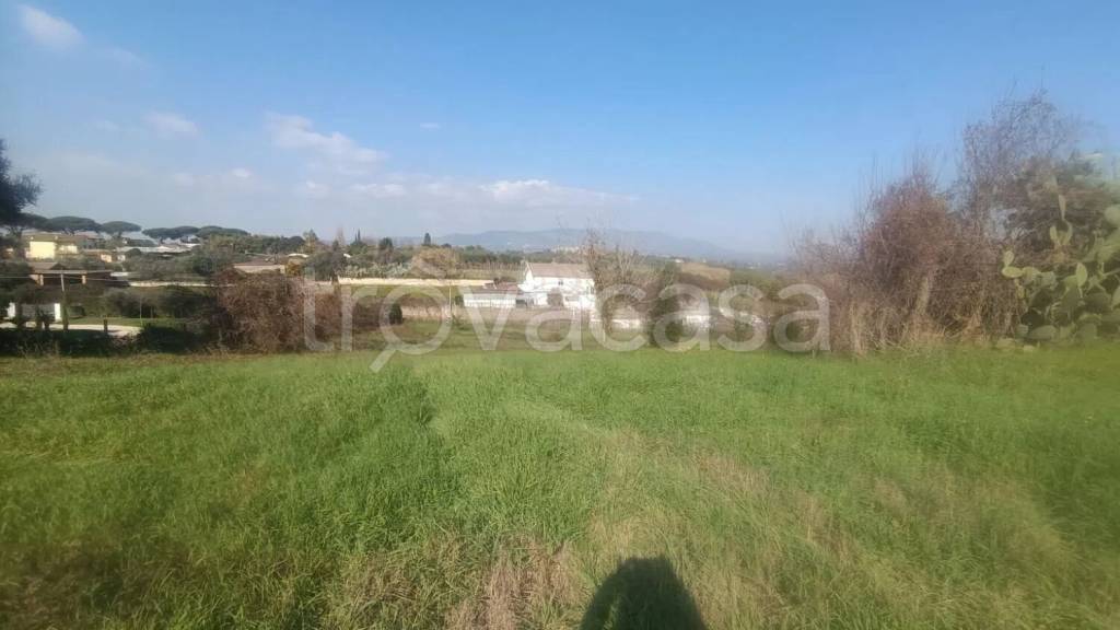 terreno agricolo in vendita a Velletri