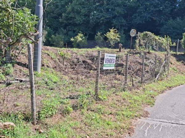 terreno agricolo in vendita a Velletri