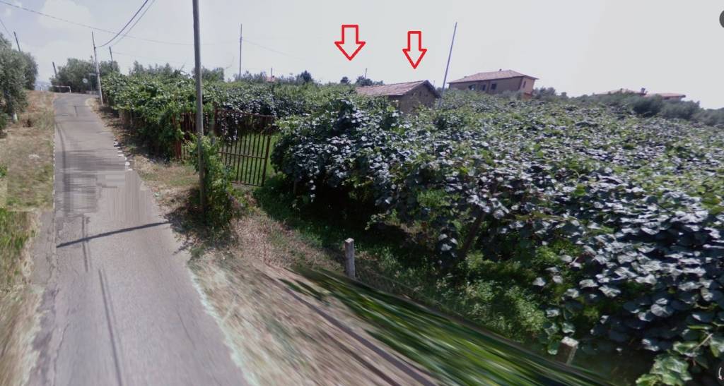 terreno agricolo in vendita a Velletri