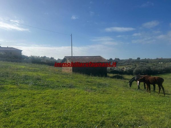 terreno agricolo in vendita a Velletri