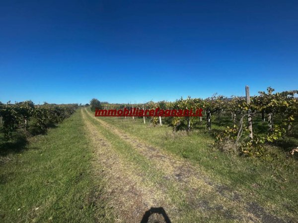terreno agricolo in vendita a Velletri