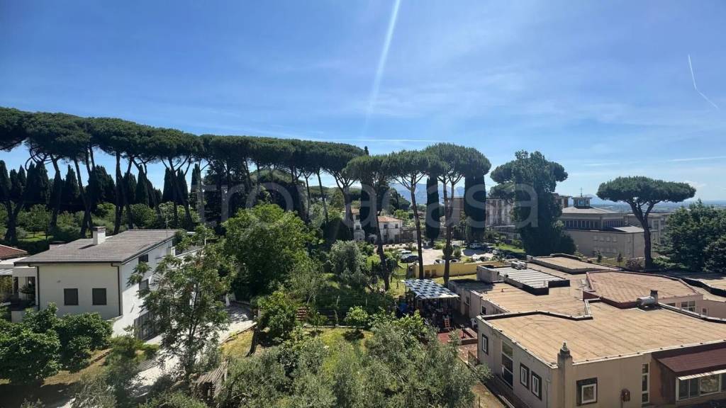 appartamento in vendita a Velletri