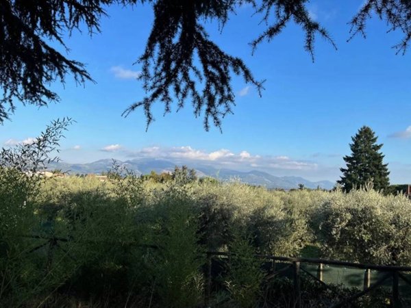 terreno agricolo in vendita a Velletri