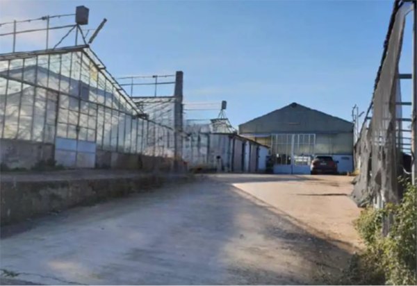 azienda agricola in vendita a Velletri