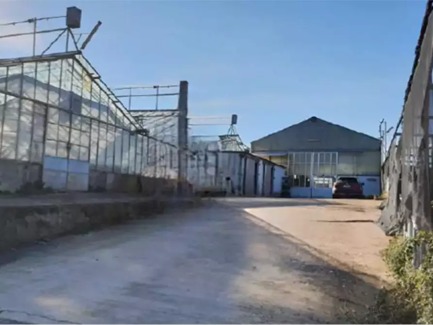 azienda agricola in vendita a Velletri