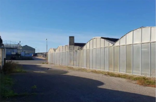 azienda agricola in vendita a Velletri