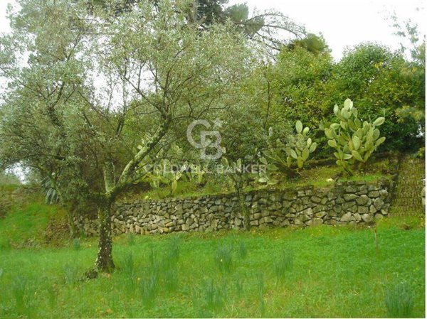 terreno agricolo in vendita a Velletri