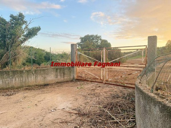 terreno agricolo in vendita a Velletri