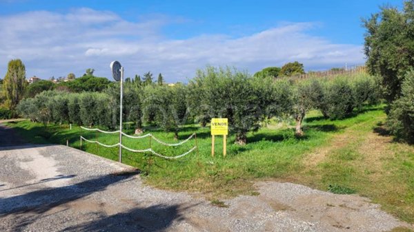 terreno agricolo in vendita a Velletri