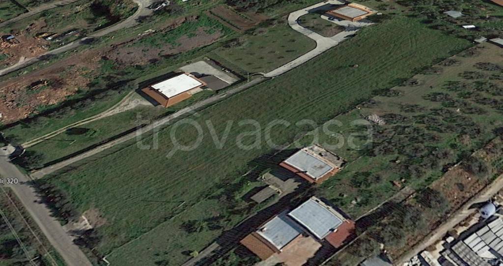 terreno agricolo in vendita a Velletri