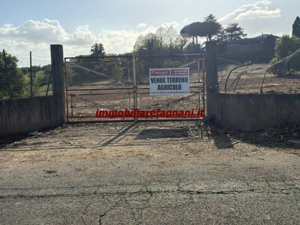 terreno agricolo in vendita a Velletri