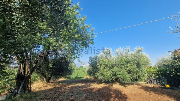 terreno agricolo in vendita a Velletri