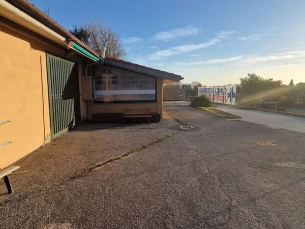 negozio in vendita a Velletri