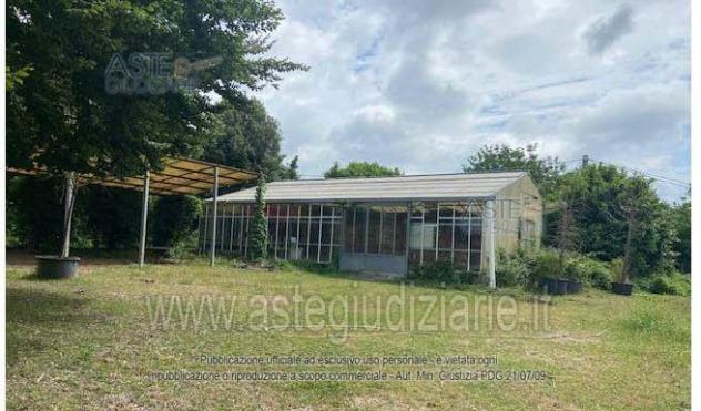 terreno agricolo in vendita a Velletri