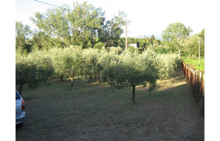terreno agricolo in vendita a Velletri