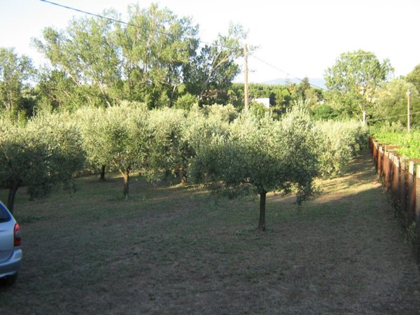 terreno agricolo in vendita a Velletri
