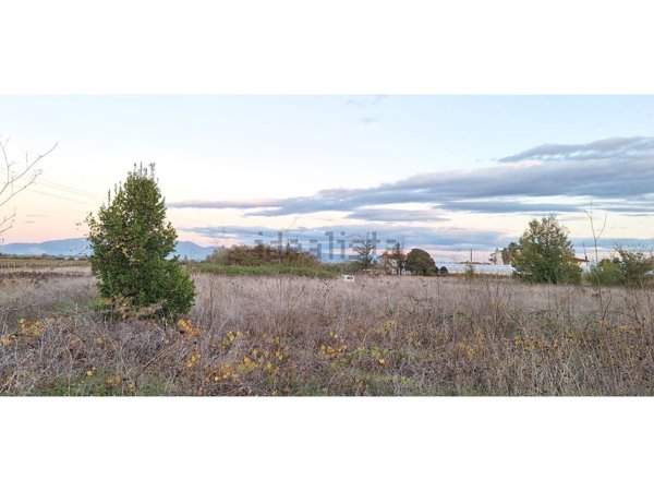 terreno agricolo in vendita a Velletri