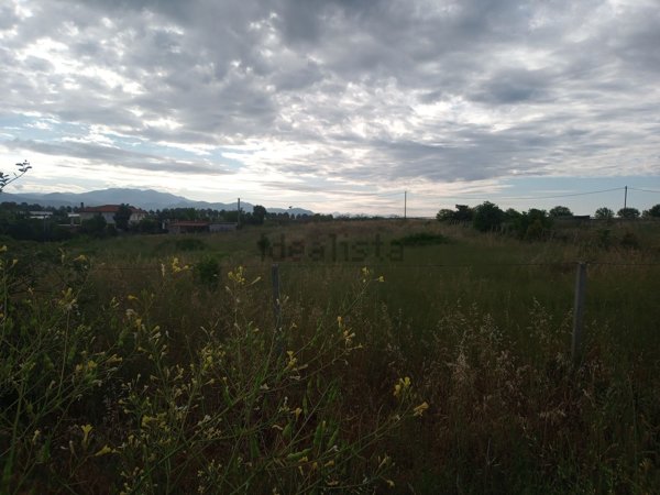 terreno agricolo in vendita a Velletri