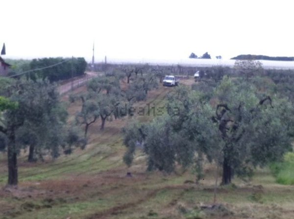 locale di sgombero in vendita a Velletri