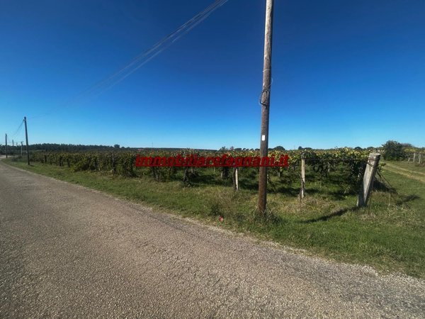 terreno agricolo in vendita a Velletri