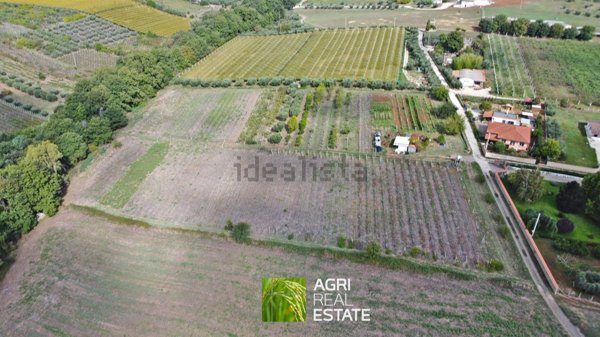 terreno agricolo in vendita a Velletri