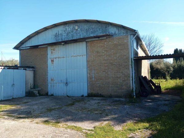 locale commerciale in vendita a Velletri