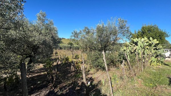 terreno agricolo in vendita a Velletri