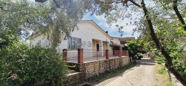 esavano in vendita a Velletri