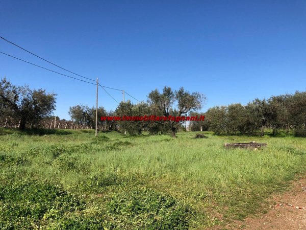 terreno agricolo in vendita a Velletri