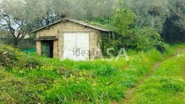 appartamento in vendita a Velletri