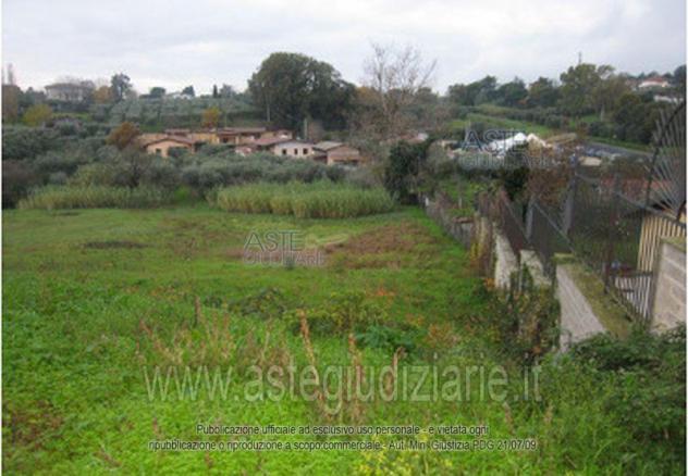 terreno agricolo in vendita a Velletri