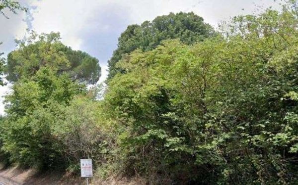 terreno agricolo in vendita a Velletri