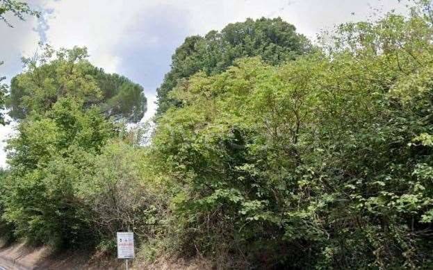 terreno agricolo in vendita a Velletri