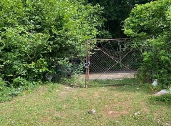 terreno agricolo in vendita a Velletri