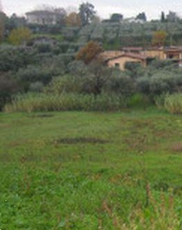 terreno edificabile in vendita a Velletri