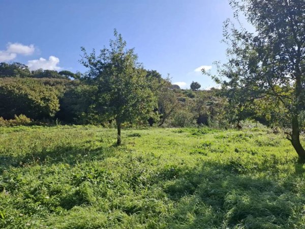 terreno agricolo in vendita a Velletri